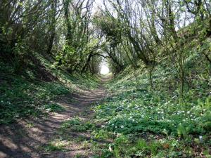 Paesaggio naturale nelle vicinanze of country house