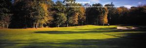 Golf v hotelu nebo okolí