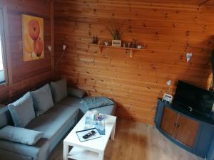 - un salon avec un canapé et une télévision dans l'établissement Ferienwohnung“puutalossa“, à Sehlen