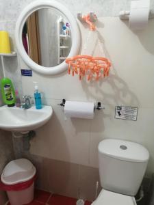 a bathroom with a toilet and a sink and a mirror at Inn Skyline Hostel in San Andrés