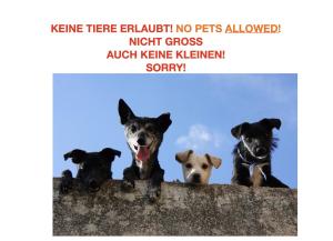 Gallery image of Homestay Brienz in Brienz +26 photos