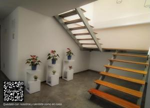 Fotografie z fotogalerie ubytování HOTEL ZARCILLEJO v destinaci Pasto