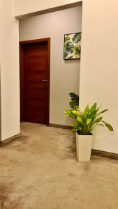 Fotografie z fotogalerie ubytování Hostel Moderna Rest v Katovicích