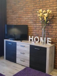 a tv stand with a vase of flowers on it at Apartamenty Bartnicza C in Bielsko-Biała