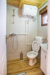 a bathroom with a toilet and a shower and a sink at Koliba Činčila in Žabljak