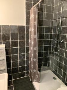 La salle de bains est pourvue d'une douche avec du carrelage noir. dans l'établissement Vakantie-appartement LAUREN Westende, à Middelkerke 12 autres photos