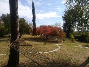 Giardino di Vila Davidovic-Fruska gora