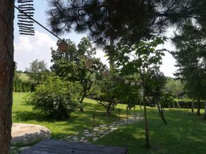 Giardino di Vila Davidovic-Fruska gora
