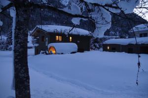 Woodpecker Chalets v zime