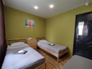 エカテリンブルクにあるMiniHotel VAVILONの緑の壁のドミトリールーム ベッド2台