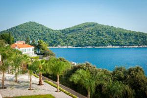 a view of a body of water with palm trees at Royal Neptun Hotel in Dubrovnik