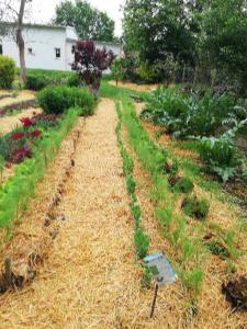 Jardín al aire libre en Au cœur du jardin