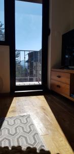 兹拉蒂博尔Titova Vila apartmani JOVANKA的客厅设有大窗户和地毯。