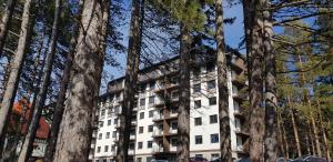 兹拉蒂博尔Titova Vila apartmani JOVANKA的树中间的白色建筑