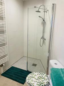 La salle de bains est pourvue d'une douche et d'un tapis vert. dans l'établissement Charmant Studio proche Lac et Forêt, à Carcassonne