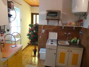 cocina pequeña con fogones y microondas en Apartment Jablanac 2 en Jablanac