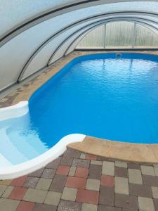 a swimming pool with blue water in a building at Pension Hofberg in Jetřichovice