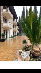 an empty courtyard with palm trees and a building at SVK-Hotel in Novy Afon