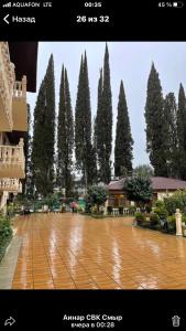 a group of trees are lined up in a courtyard at SVK-Hotel in Novy Afon