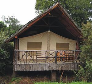 Sentrim Mara Lodge في Ololaimutiek: خيمة كبيرة مع شرفة في الغابة