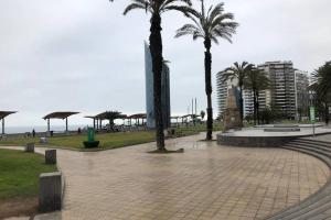 a park with palm trees and a walkway at (5)Modern Miraflores tourist area apartment in Lima +14 photos