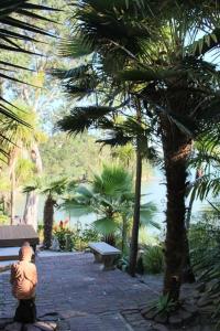 Gallery image of Neptune Coastal Haven in Auckland +21 photos