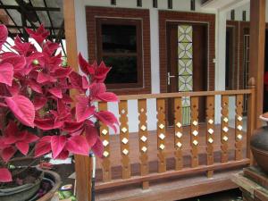 a wooden fence in front of a house with red leaves at Penginapan Udin Syariah Bukit Rhema in Magelang