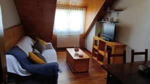 a living room with a couch and a tv at Ço d´Eric in Vielha