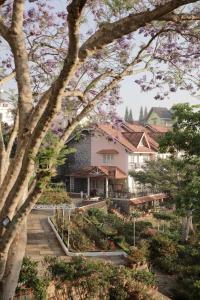 a view of a house with flowering trees at Dalat Terrasse Des Roses Villa in Da Lat