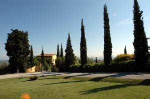 Une rangée de cyprès et une maison dans l'établissement La Valle Appartamenti Per Vacanze, à Montaione