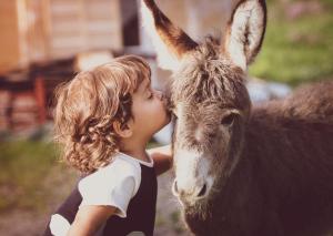 un jeune enfant embrasse un âne dans l'établissement Cuccaro Club - Val di Vara e Cinque Terre, à Rocchetta di Vara