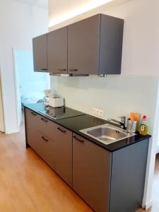 a kitchen with a sink and a counter top at Sissi Apartments in Achau