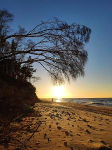 Ảnh trong thư viện ảnh của Domki HORYZONT ở Dziwnówek