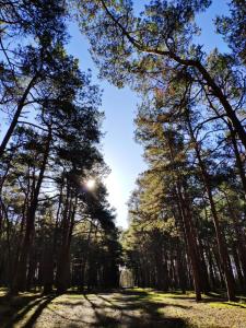 Ảnh trong thư viện ảnh của Domki HORYZONT ở Dziwnówek