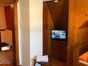 a living room with a television in a room at Berghaus Carlsfeld in Eibenstock