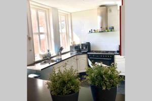 a kitchen with two potted plants on the counter at Zonnige frisse studio De Gouden Parel in hartje Middelburg in Middelburg