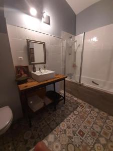 ein Bad mit einem Waschbecken, einer Dusche und einem WC in der Unterkunft La Grange de la Batone - Bed and Breakfast in Messimy