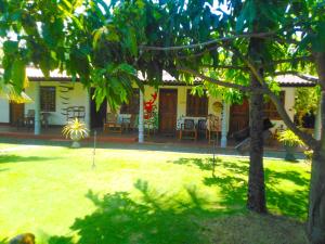 una casa con un patio con un árbol y un edificio en Lobster Inn en Trincomalee