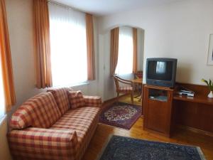 sala de estar con sofá y TV en Apartment Flesch-3 by Interhome, en Schelingen