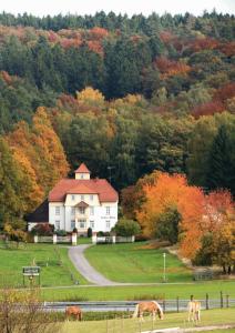 a farm with cows grazing in front of a house at Pension am Walde in Beerfelden