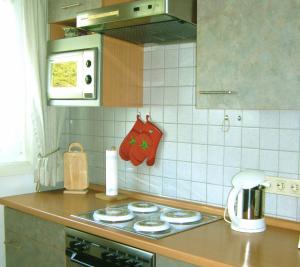 Virtuvė arba virtuvėlė apgyvendinimo įstaigoje Pension am Walde