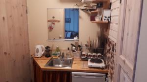eine Küche mit einer Spüle und einer Arbeitsplatte in der Unterkunft Posti Old Town Apartment in Viljandi
