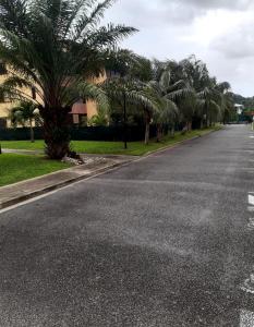 an empty street with a row of palm trees at Emeraude in Cayenne