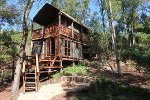 Gallery image of Fernhill Tented Treehouses in Rheenendal