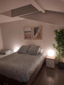 een slaapkamer met een bed met twee lampen en een plant bij Appartement spacieux et moderne - Tout confort in Hendaye