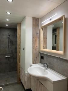 uma casa de banho com um lavatório, um chuveiro e um espelho. em Ferienhaus Krieben 