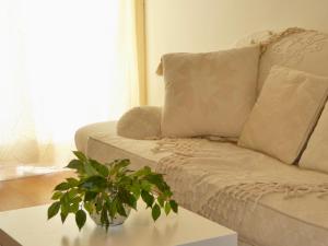 a living room with a couch and a plant on a table at Downtown by Check-in Portugal in Faro