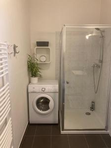 Koupelna v ubytování Apartments near the pond + 45 fotografií