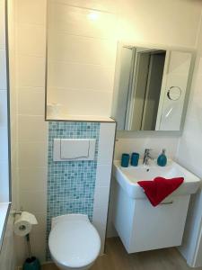 ein Badezimmer mit einem Waschbecken, einem WC und einem Spiegel in der Unterkunft Wiesenstrasse in Zingst
