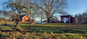 a house and a barn in a field with trees at Sankt Anna Bed and Boat, in Sankt Anna